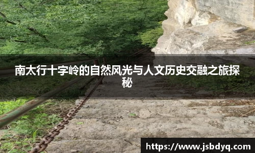 MK体育官方网址